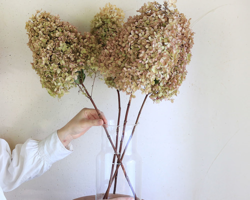 dbace6609af475befafa3986c89391