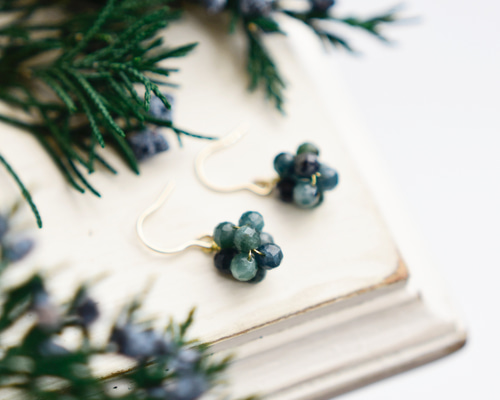 14kgfピアス】インディゴライトトルマリン 自然の深みを感じる 実