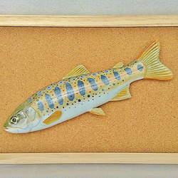 立体魚拓　ハマフエフキ　タマン　タマミ 立体魚拓 ハマフエフキ タマン タマミ 絵画 Lazuli World 通販