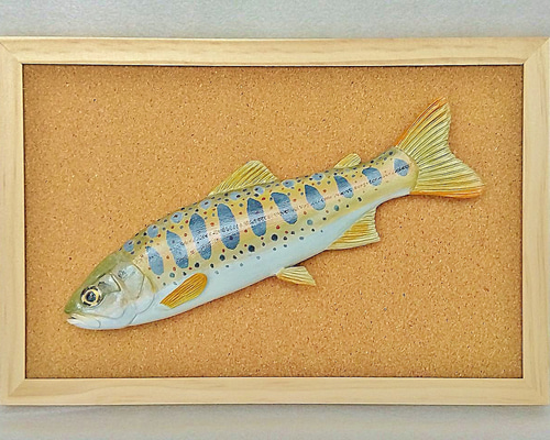 手作り　オブジェ　大きな真鯛　マダイ　アート　造形看板　美術品　運気　招福　魚 マダイ | 川嶋陽介 | 豊海おさかなミュージアム