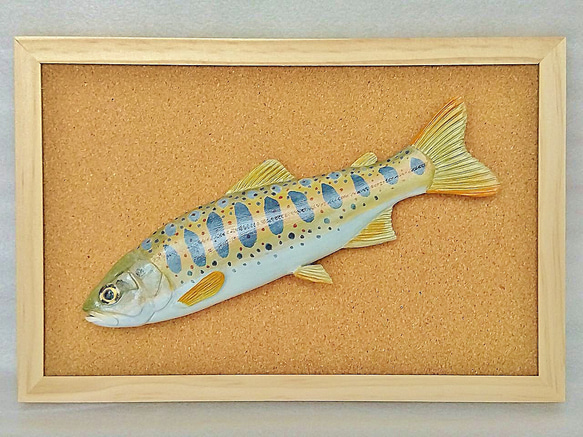 立体魚拓　アマゴ　雨子　天魚 魚の剥製 アマゴ - イワシ金属化