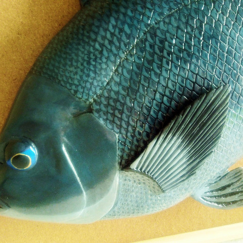 立体魚拓　グレ　メジナ　口太グレ　口太メジナ 立体魚拓 グレ メジナ 口太グレ 口太メジナ 立体・オブジェ