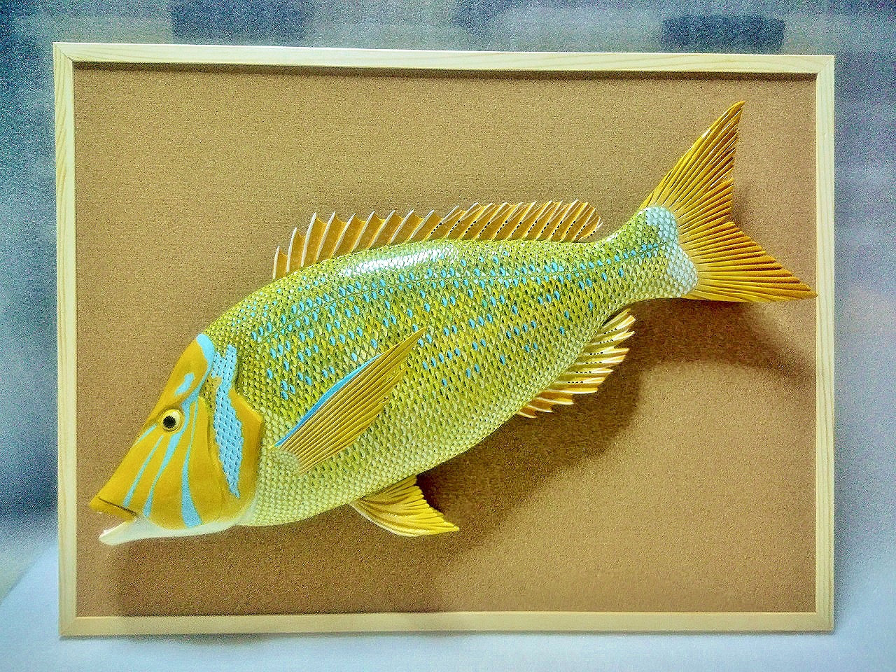 立体魚拓　ハマフエフキ　タマン　タマミ 立体魚拓　ハマフエフキ　タマン　タマミ