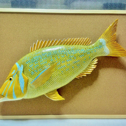 立体魚拓　ハマフエフキ　タマン　タマミ 立体魚拓 ハマフエフキ タマン タマミ