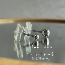  第10張的照片