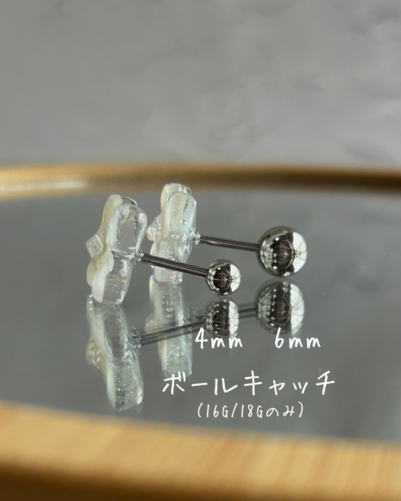 第10張的照片