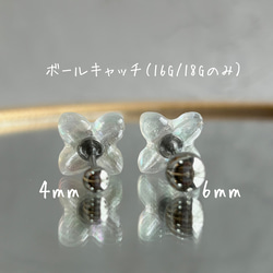  第9張的照片