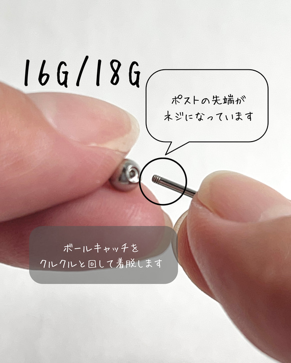  第7張的照片