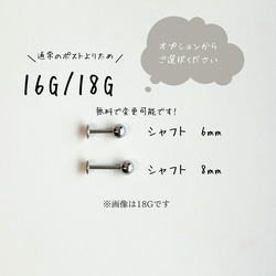  第6張的照片