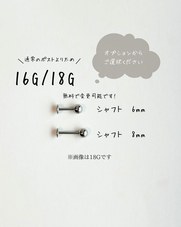  第6張的照片