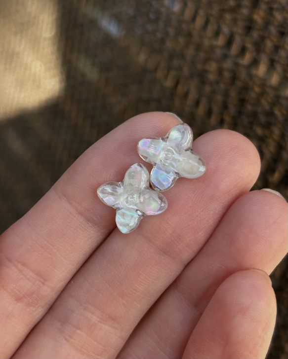  第2張的照片