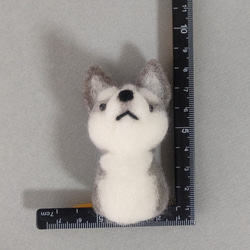 指人形　ハスキー犬のこども 9枚目の画像