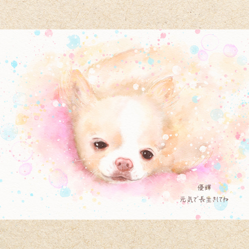 ペットの似顔絵オーダー　猫 ペットの似顔絵 ネコ似顔絵 オーダーメイド リアル イラストオーダー