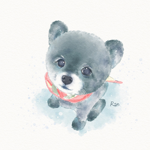ペット似顔絵 犬 猫 絵 うちの子 イラストオーダー | 誕生日 | 記念日