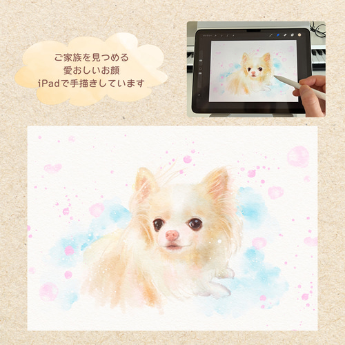 うちの子 ペット似顔絵｜犬 猫 イラストオーダー｜誕生日・プレゼント