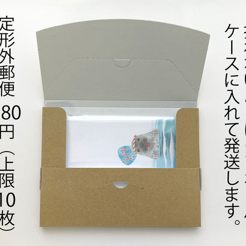 アザラシポストカード2枚セット ポストカード kasuku 通販