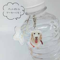 アンブレラマーカー 目印チャーム 写真入り うちの子 ペット グッズ オリジナル オーダーメイド 5枚目の画像