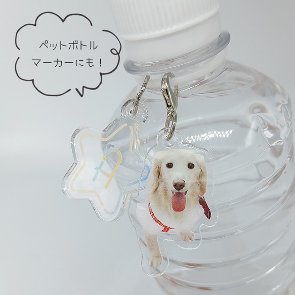 アンブレラマーカー 目印チャーム 写真入り うちの子 ペット グッズ オリジナル オーダーメイド 5枚目の画像