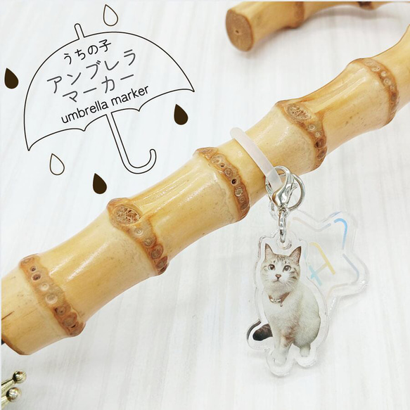 アンブレラマーカー 目印チャーム 写真入り うちの子 ペット グッズ オリジナル オーダーメイド 1枚目の画像