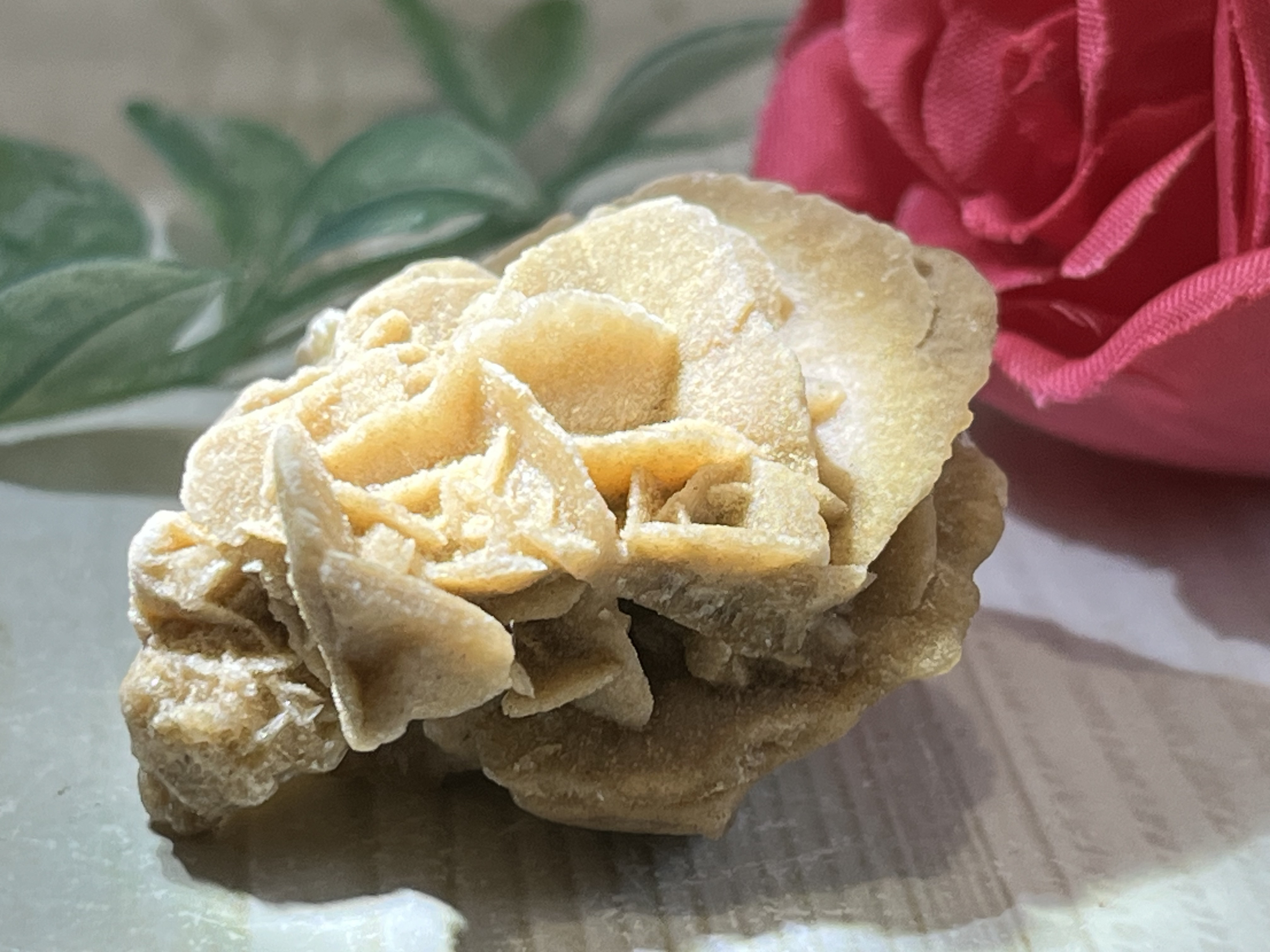 風化石　砂漠の薔薇 砂漠のバラ（デザートローズ ジプサム）チュニジア産