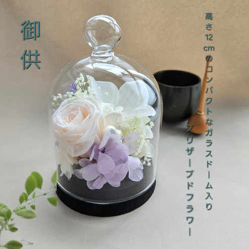 特選仏花　ジャンボサイズ　ドーム入り　プリザーブドフラワー　造花無し 胡蝶蘭のコンパクトなガラスドーム入りお供えR 優しい色合いのシンプル