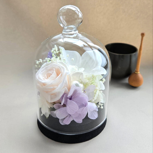 胡蝶蘭のコンパクトなガラスドーム入りお供えR 優しい色合いのシンプル