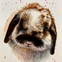 オーダーメイド サンプル 犬の絵 鉛筆画 絵画 ENPITSUYA 通販