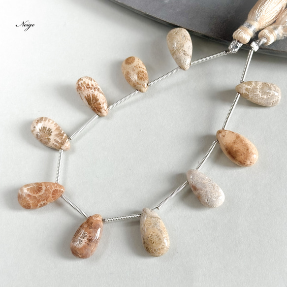 フォシルコーラル　ペアシェイプ　14×7×4mm 2粒　天然石パーツ販売 1枚目の画像