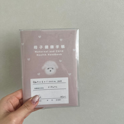  第9張的照片