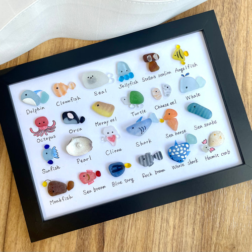 シーグラスアート☆No.399 図鑑　海の生き物　ギフト　プレゼント インテリア TGIF様専用 No.388 海の生き物大図鑑 ギフト プレゼント