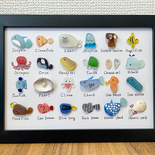シーグラスアート☆No155 図鑑 ギフト プレゼント 父の日 水族館