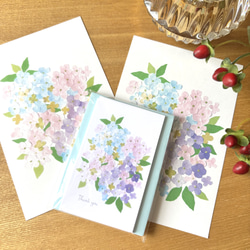 ♦️♦️♦️♦️月の花 ♦️1月から12月のセット♦️12冊セットお得 四季の花ポストカードセット ポストカード tomocollage 通販