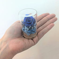 プリザーブドフラワー／星空に染まった青い薔薇の神秘と奇跡／ 陶器