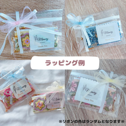 18cmファスナーꕤバンド付き挟めるスリムペンケース 6枚目の画像