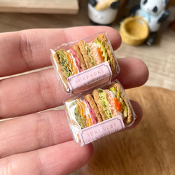  第7張的照片