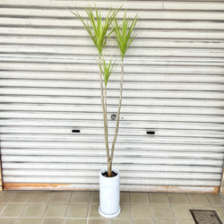 光触媒 人工観葉植物 ウォールグリーン フェイクグリーン