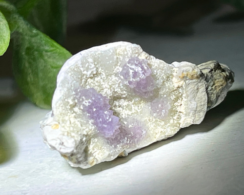 3496902410731c32385c4e347a54fd