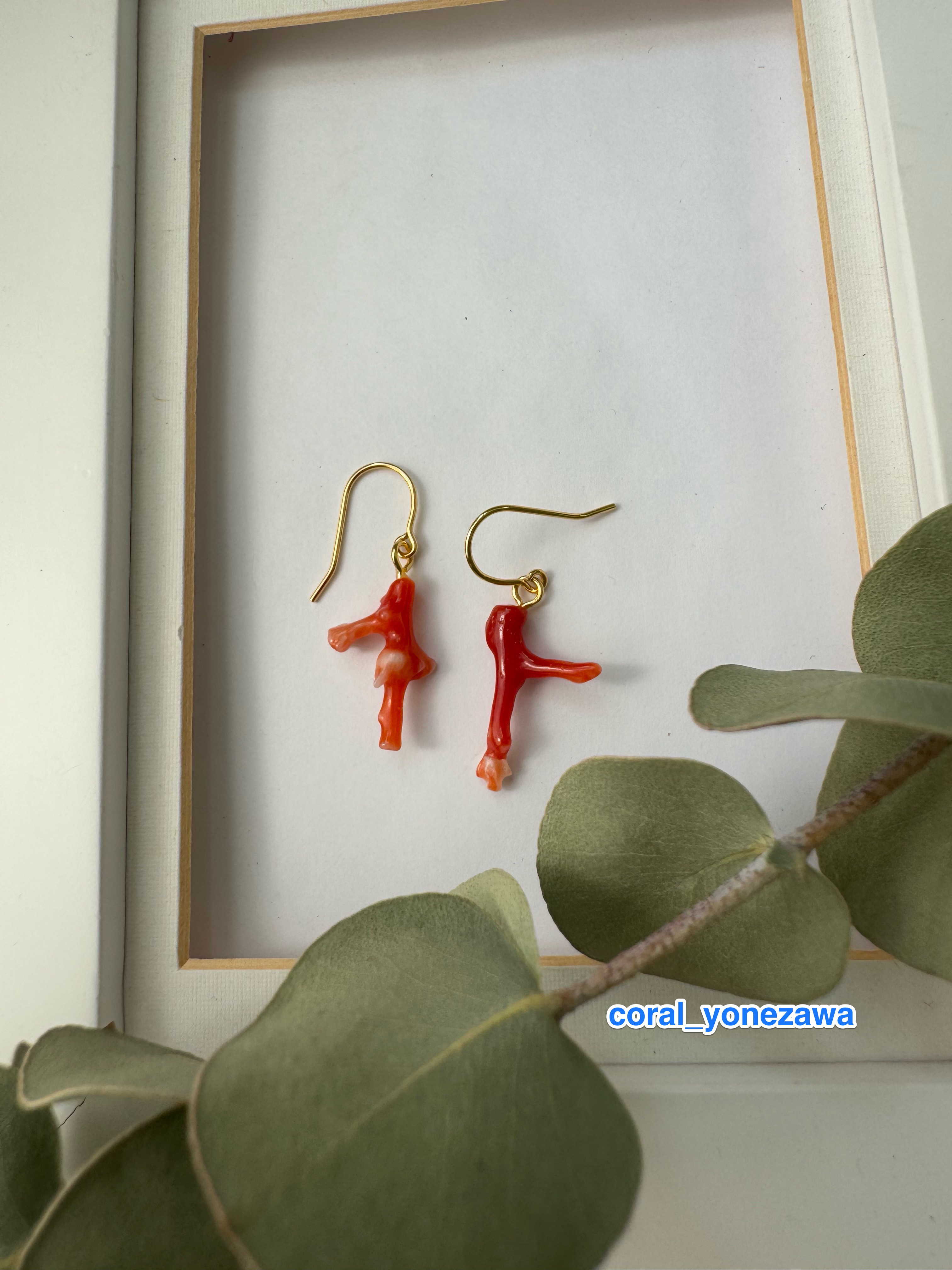 本珊瑚　サンコ　ピアス　イヤリング　指輪　まとめ　ヴィンテージ　アクセサリー 土佐 赤珊瑚 本物 自由に育った天然もの アクセサリー ピアス（無料取
