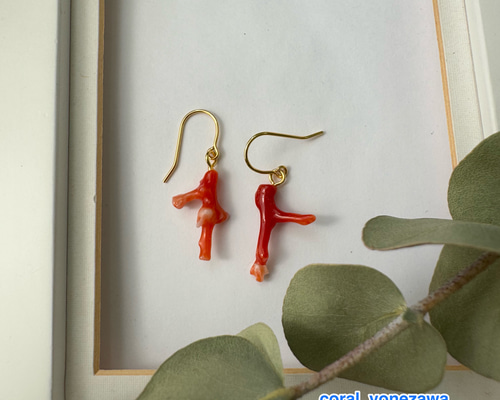 土佐 赤珊瑚 本物 自由に育った天然もの アクセサリー ピアス（無料取