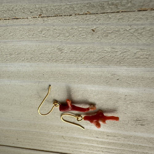 土佐 赤珊瑚 本物 自由に育った天然もの アクセサリー ピアス（無料取