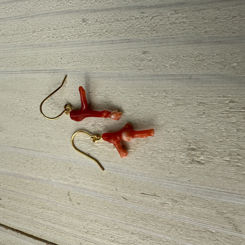 陶器　サンゴ　珊瑚礁　海　魚　アクセサリー入れ　ピアス　作家作品　一点物 さんごのアクセサリー「海の記憶」「天地(あめつち)」 – U-Ruma