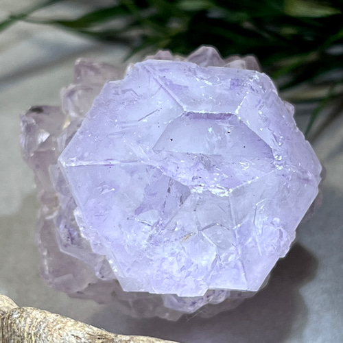 マルチターミネーション✨ 精霊を呼ぶ石 カクタスアメジスト サボテン