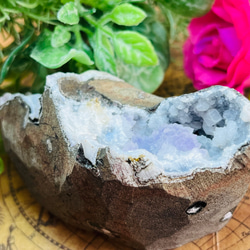 3299cffd838544458673f0487ed2d2