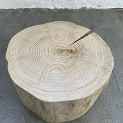 山桜　天然木　切り株　輪切り　高さ約19.5㎝ 山桜 天然木 切り株 輪切り 高さ約19.5㎝