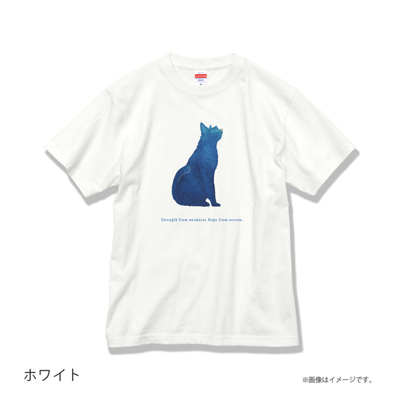 「BLUE CAT」安心のクオリティ/定番コットンTシャツ/送料無料 4枚目の画像