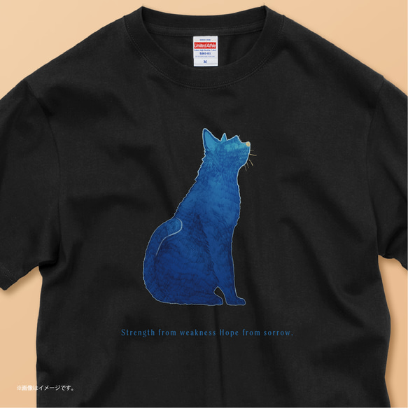 「BLUE CAT」安心のクオリティ/定番コットンTシャツ/送料無料 1枚目の画像