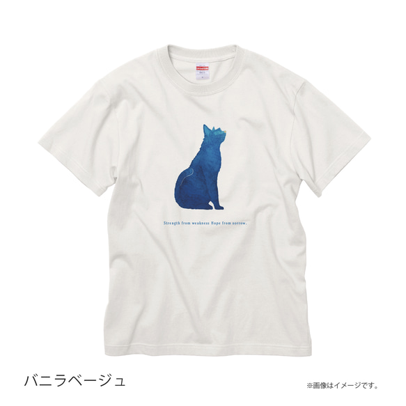 「BLUE CAT」安心のクオリティ/定番コットンTシャツ/送料無料 5枚目の画像