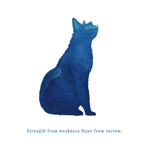 「BLUE CAT」安心のクオリティ/定番コットンTシャツ/送料無料 2枚目の画像