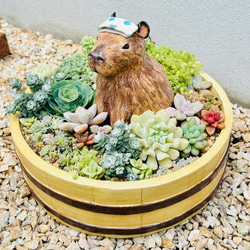 温泉カピバラin風呂桶 植木鉢 多肉植物用〉陶芸 陶器 一輪挿し・花瓶