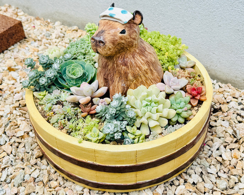 温泉カピバラin風呂桶 植木鉢 多肉植物用〉陶芸 陶器 一輪挿し・花瓶